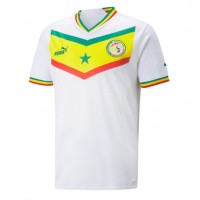 Camiseta Senegal Primera Equipación Mundial 2022 manga corta